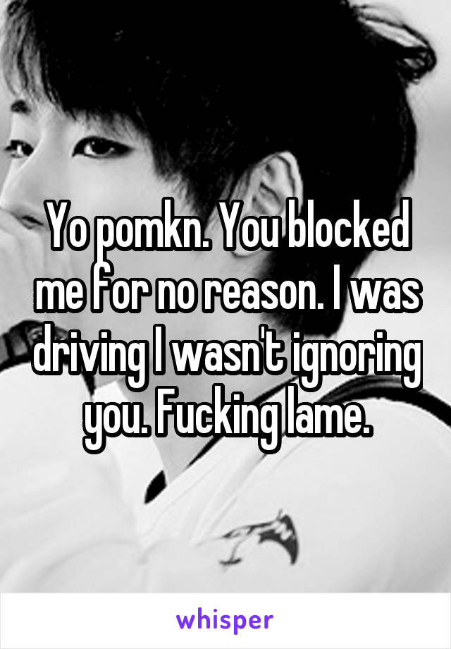 Yo pomkn. You blocked me for no reason. I was driving I wasn't ignoring you. Fucking lame.