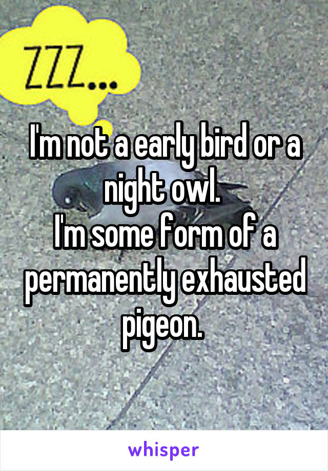 I'm not a early bird or a night owl. 
I'm some form of a permanently exhausted pigeon. 
