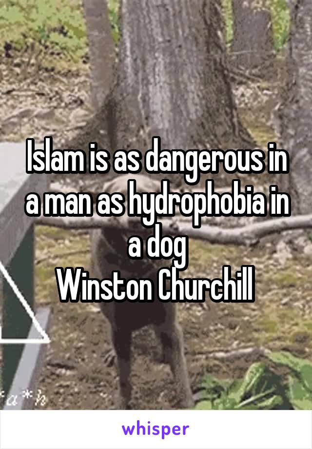 Islam is as dangerous in a man as hydrophobia in a dog
Winston Churchill 