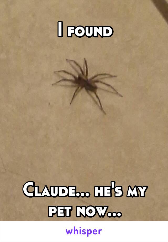 I found







Claude... he's my pet now...