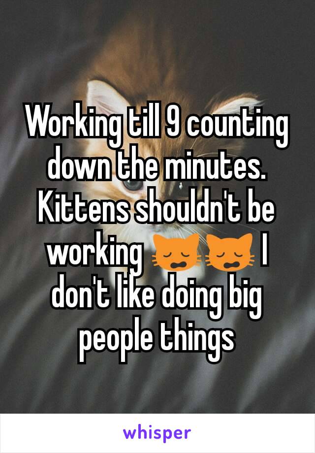 Working till 9 counting down the minutes. Kittens shouldn't be working 🙀🙀 I don't like doing big people things