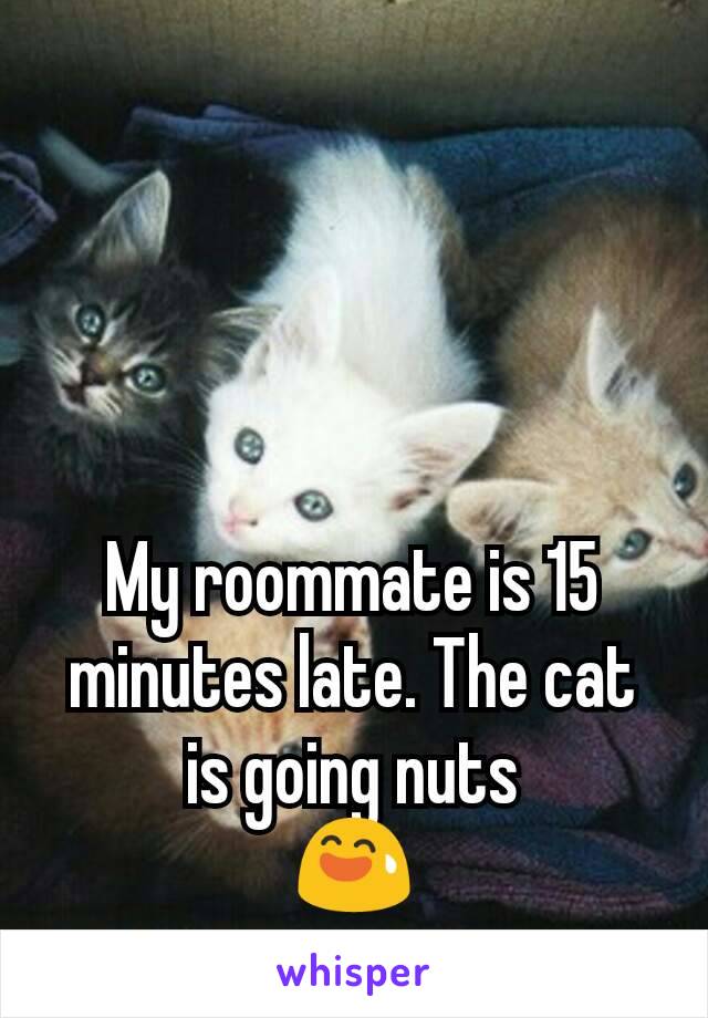 My roommate is 15 minutes late. The cat is going nuts
😅