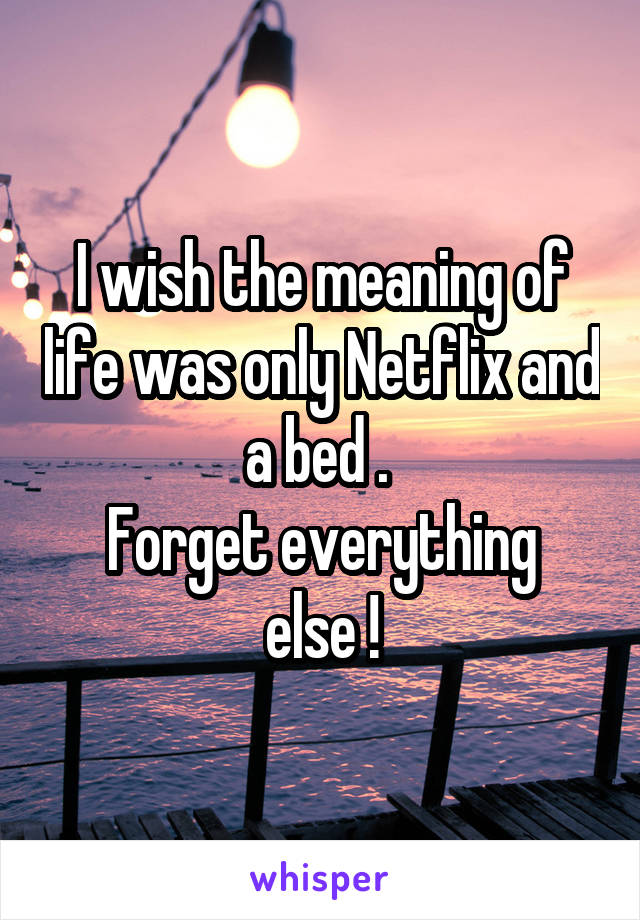 I wish the meaning of life was only Netflix and a bed . 
Forget everything else !