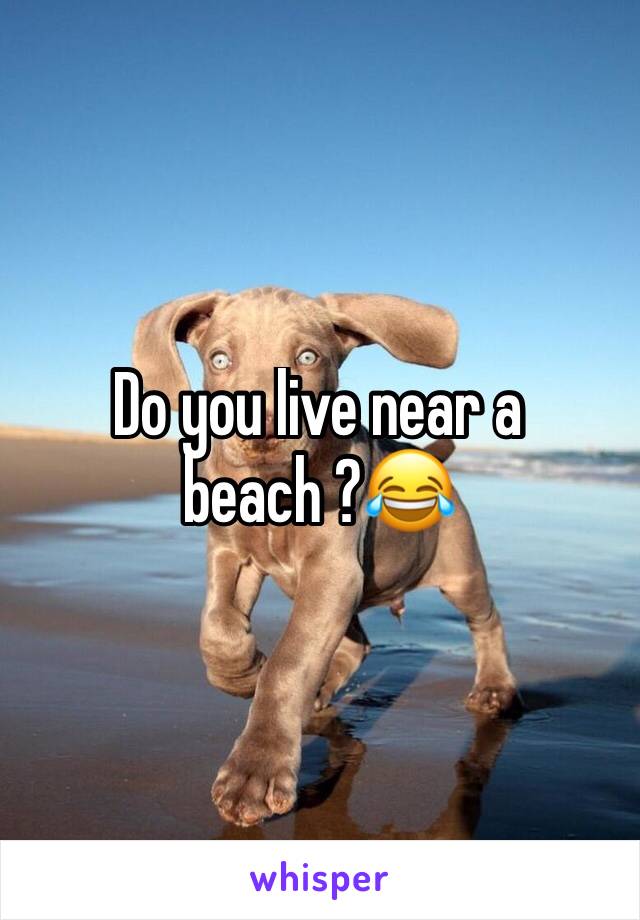 Do you live near a beach ?😂