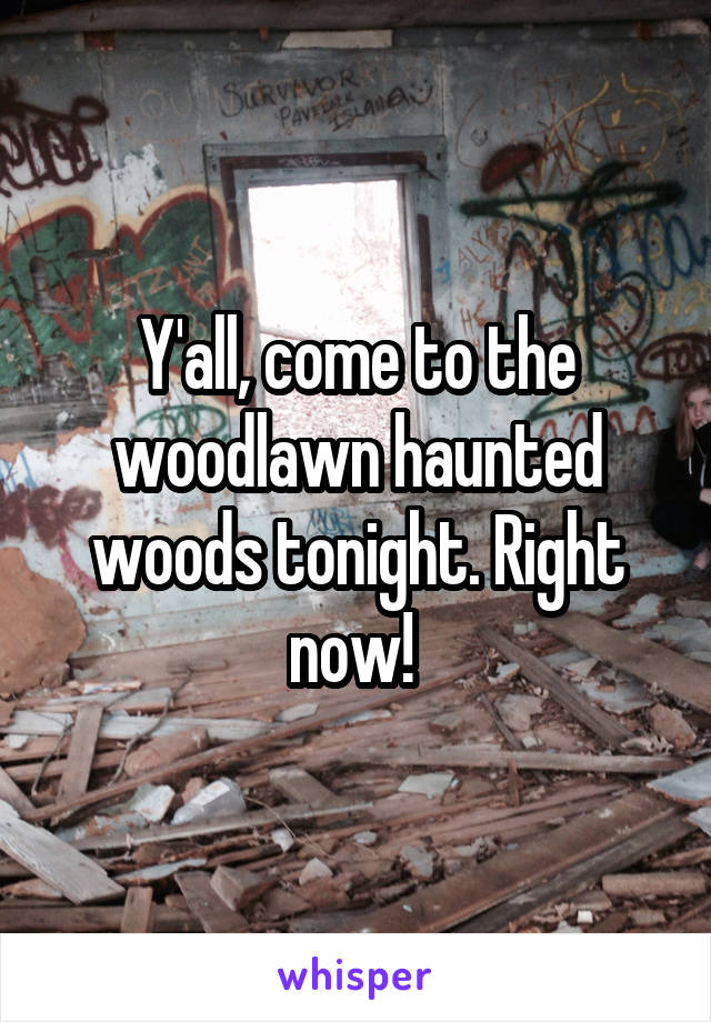 Y'all, come to the woodlawn haunted woods tonight. Right now! 