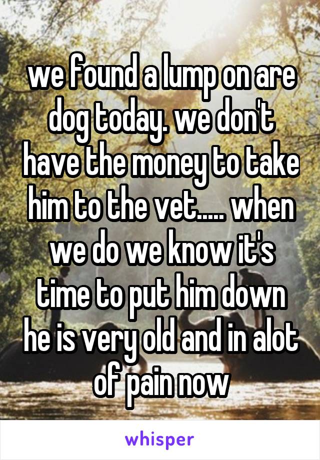 we found a lump on are dog today. we don't have the money to take him to the vet..... when we do we know it's time to put him down he is very old and in alot of pain now