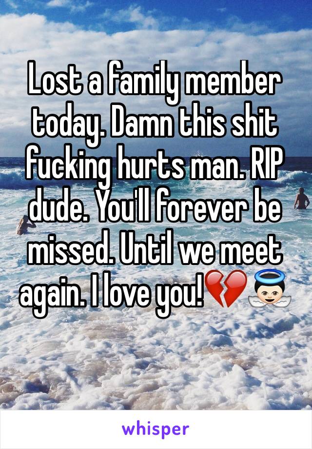 Lost a family member today. Damn this shit fucking hurts man. RIP dude. You'll forever be missed. Until we meet again. I love you!💔👼🏻