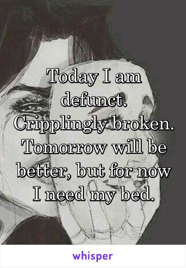 Today I am defunct. Cripplingly broken. Tomorrow will be better, but for now I need my bed.