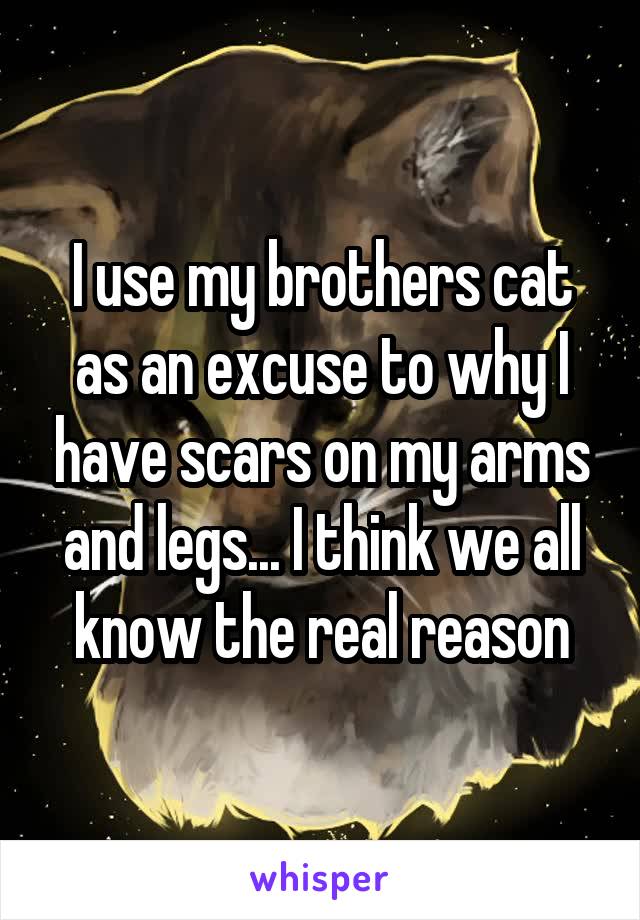 I use my brothers cat as an excuse to why I have scars on my arms and legs... I think we all know the real reason