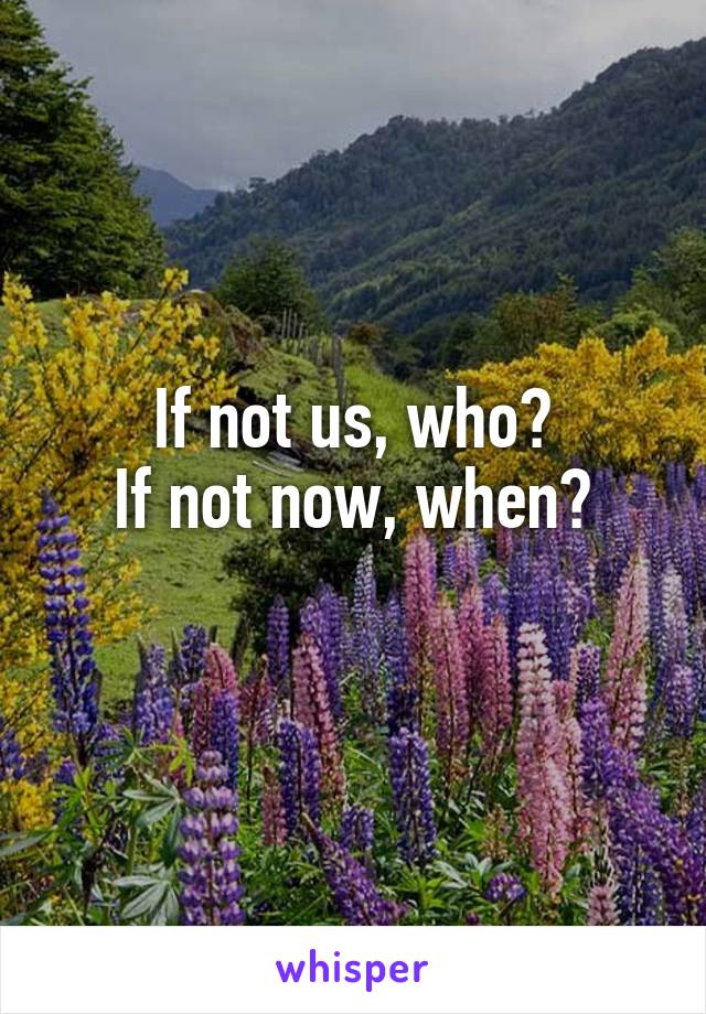 If not us, who?
If not now, when?
