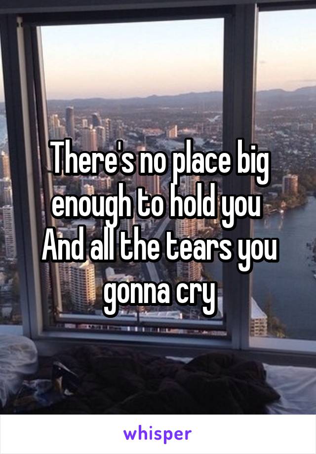 There's no place big enough to hold you 
And all the tears you gonna cry