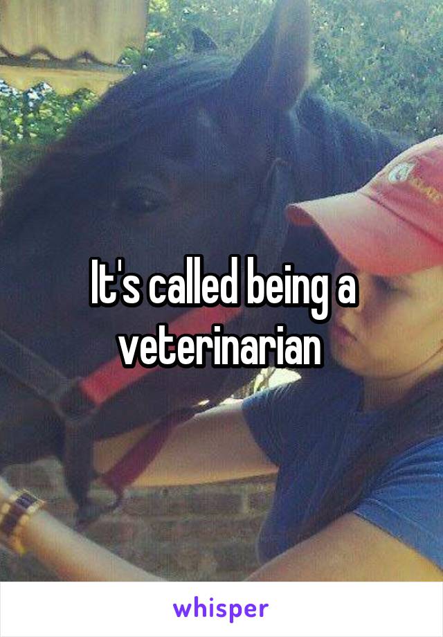 It's called being a veterinarian 