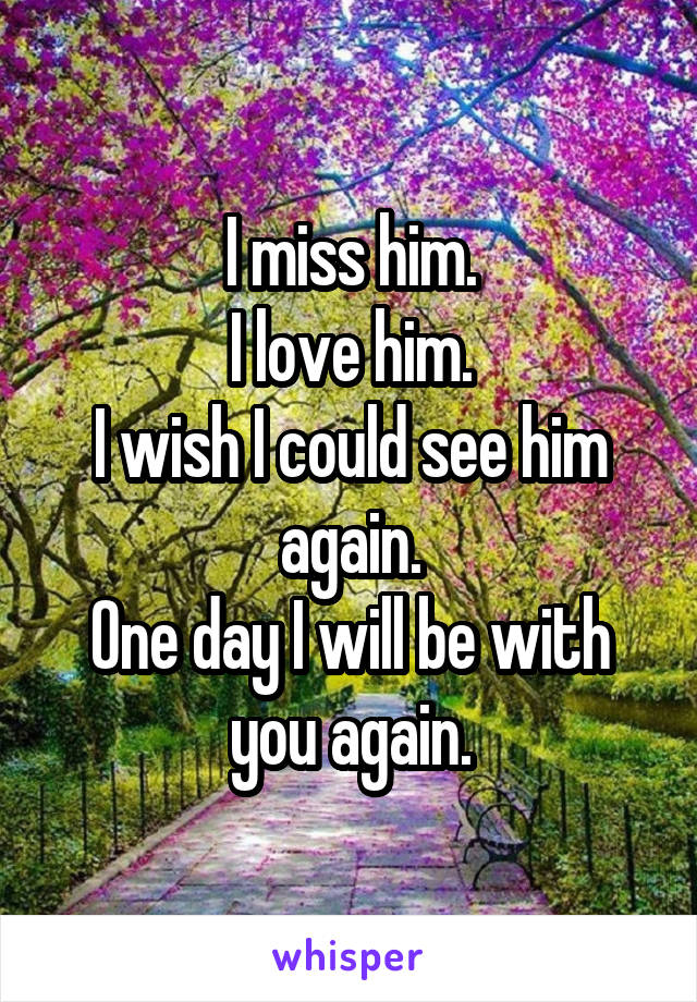I miss him.
I love him.
I wish I could see him again.
One day I will be with you again.