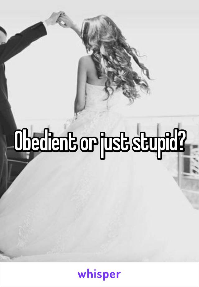 Obedient or just stupid?