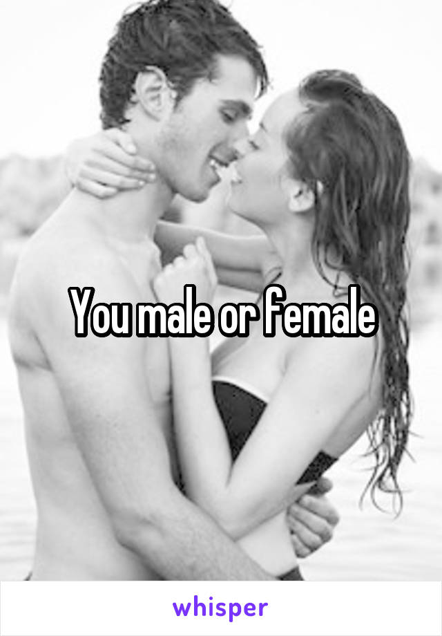 You male or female