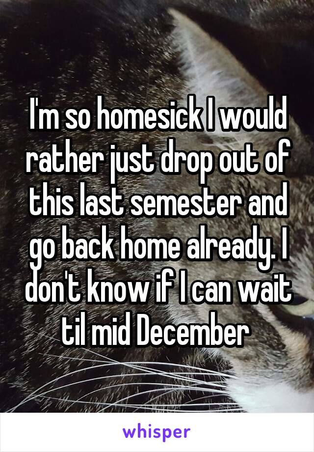 I'm so homesick I would rather just drop out of this last semester and go back home already. I don't know if I can wait til mid December 