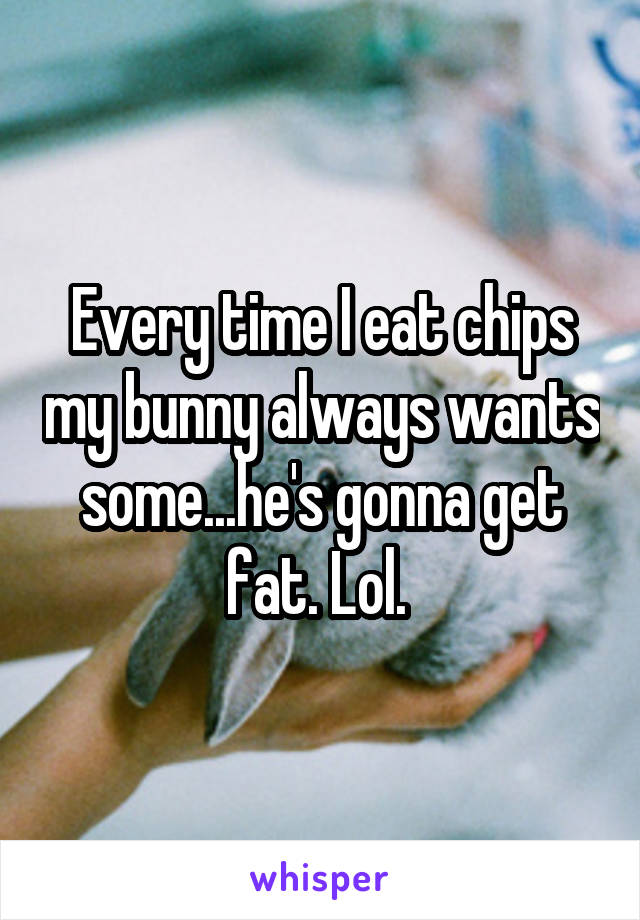 Every time I eat chips my bunny always wants some...he's gonna get fat. Lol. 