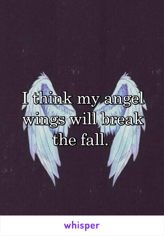 I think my angel wings will break the fall. 