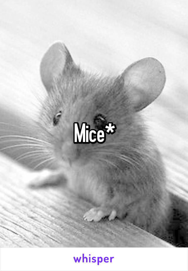 Mice*