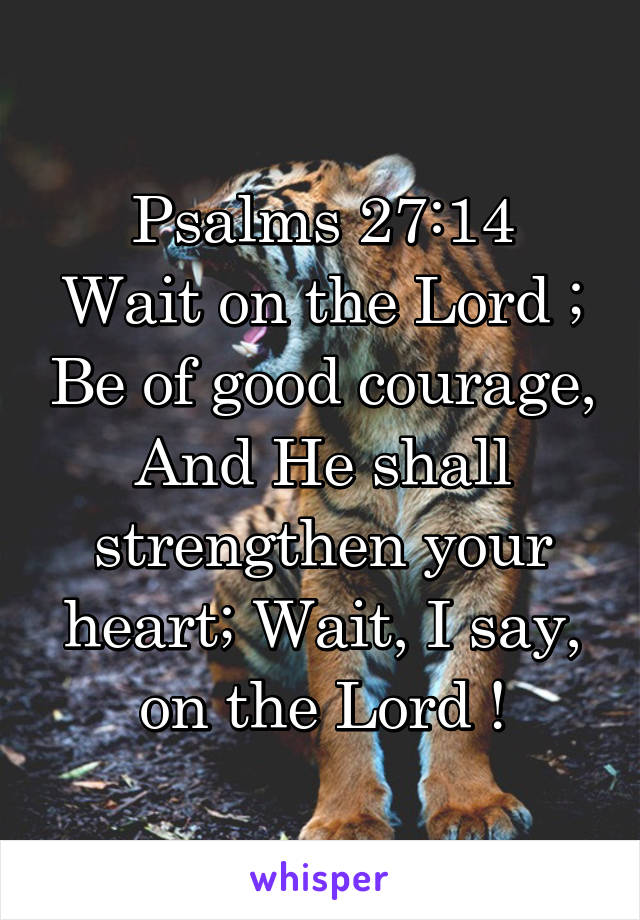 Psalms 27:14
Wait on the Lord ; Be of good courage, And He shall strengthen your heart; Wait, I say, on the Lord !