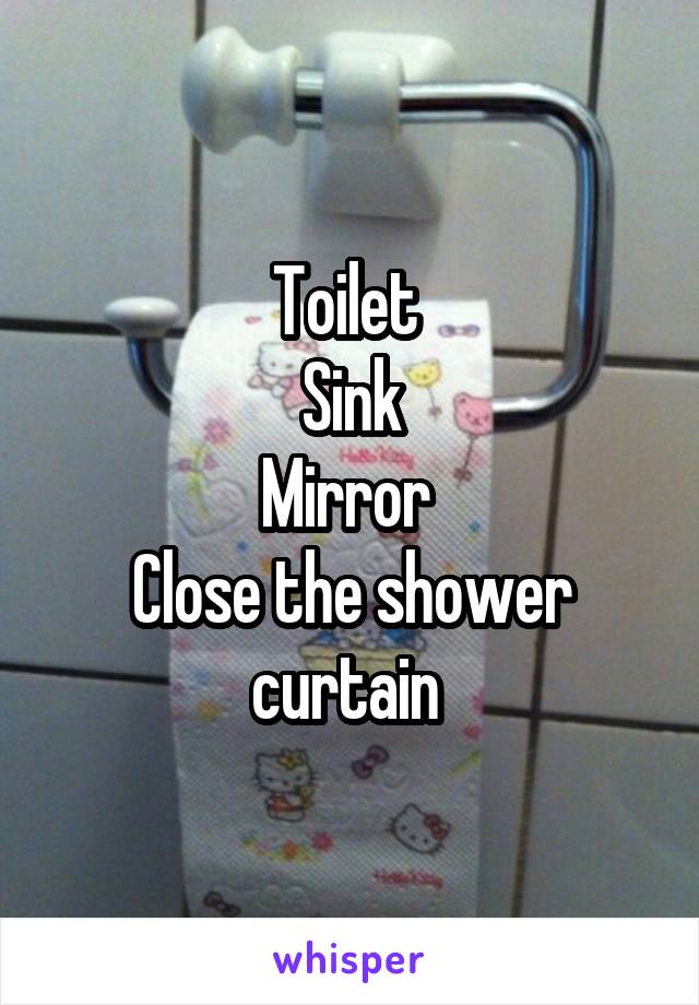 Toilet 
Sink
Mirror 
Close the shower curtain 