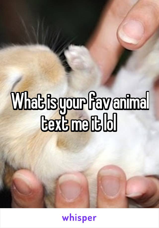 What is your fav animal text me it lol 
