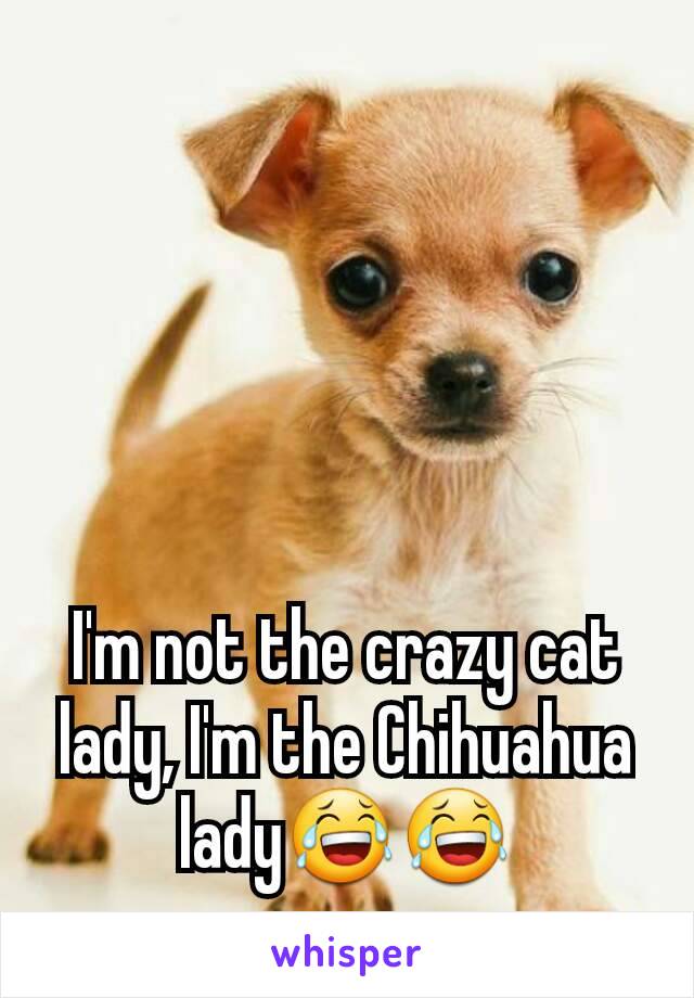 I'm not the crazy cat lady, I'm the Chihuahua lady😂😂