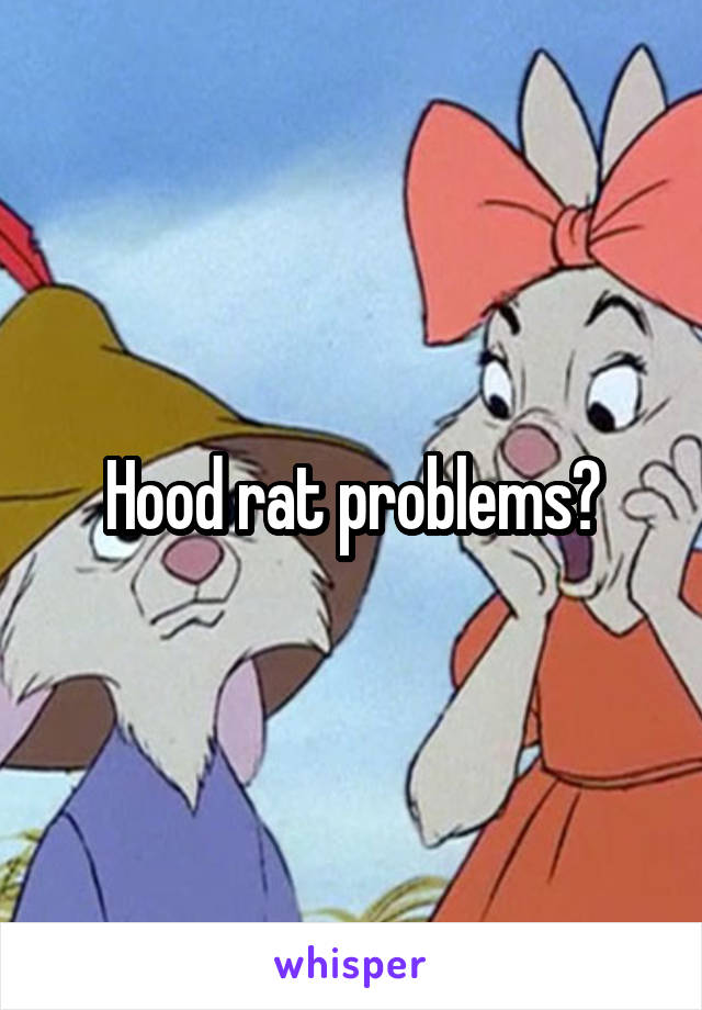 Hood rat problems?