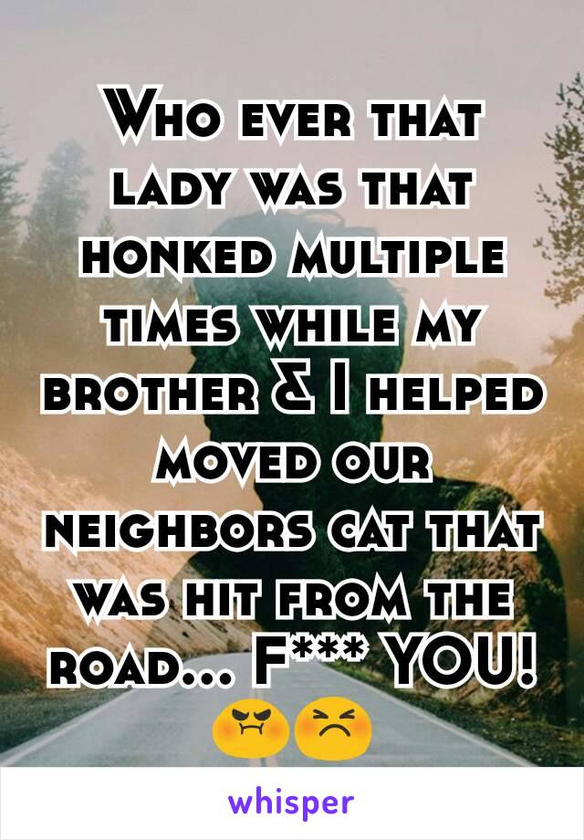 Who ever that lady was that honked multiple times while my brother & I helped moved our neighbors cat that was hit from the road... F*** YOU! 😡😣