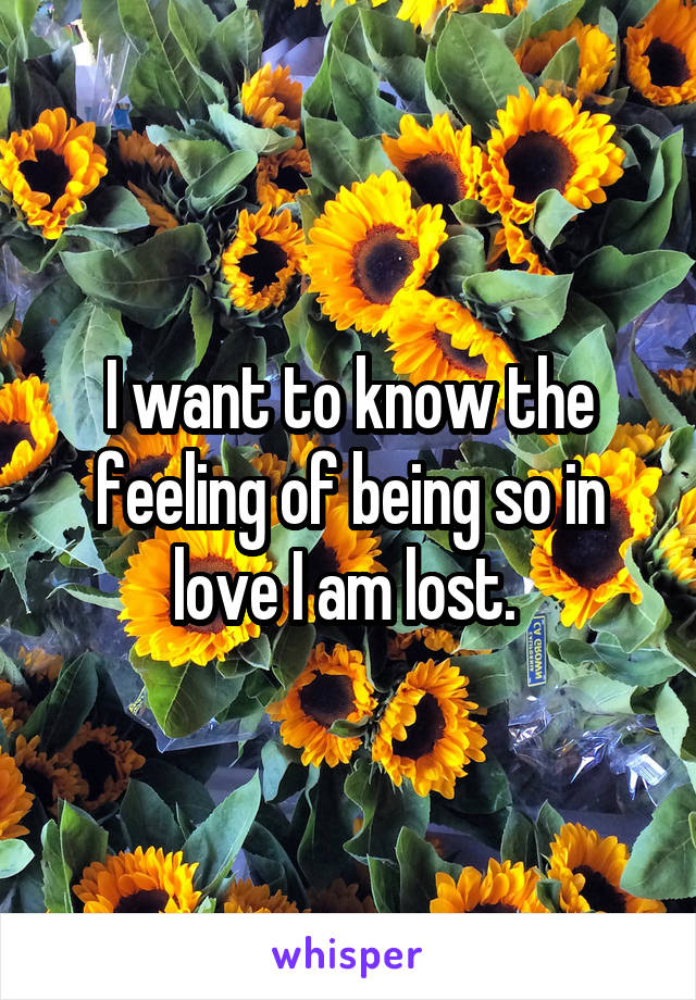 I want to know the feeling of being so in love I am lost. 