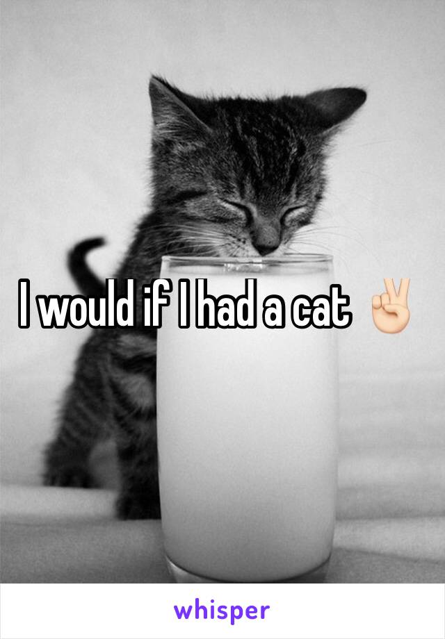 I would if I had a cat ✌🏻️