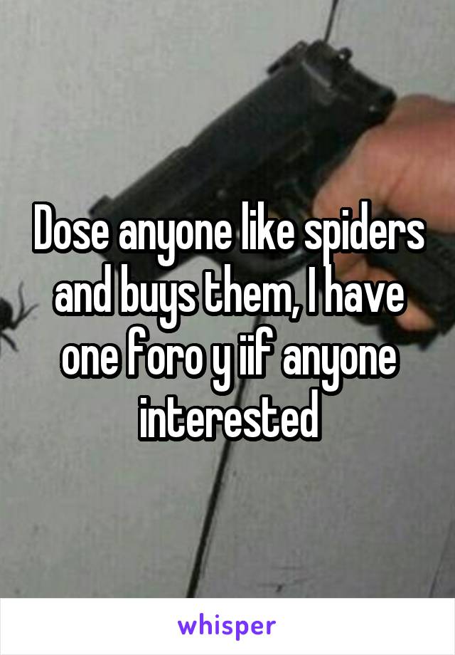 Dose anyone like spiders and buys them, I have one foro y iif anyone interested