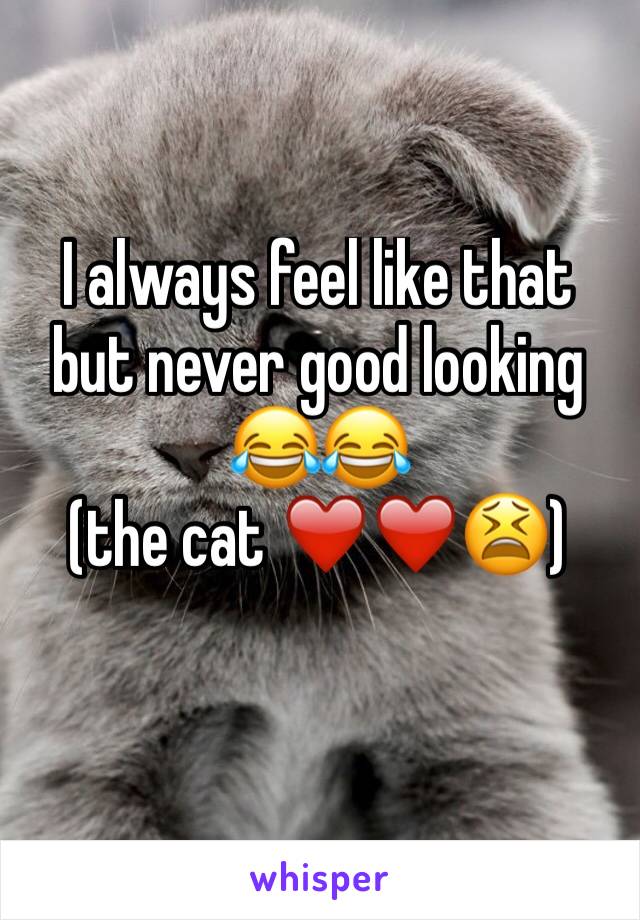 I always feel like that but never good looking 😂😂 
(the cat ❤️❤️😫)