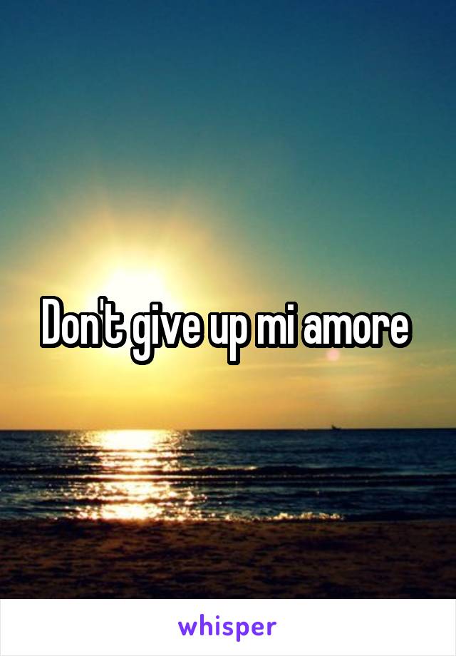 Don't give up mi amore 