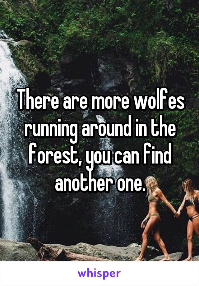 There are more wolfes running around in the forest, you can find another one.