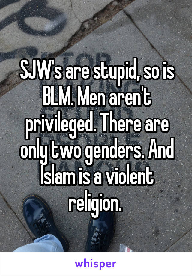 SJW's are stupid, so is BLM. Men aren't privileged. There are only two genders. And Islam is a violent religion. 