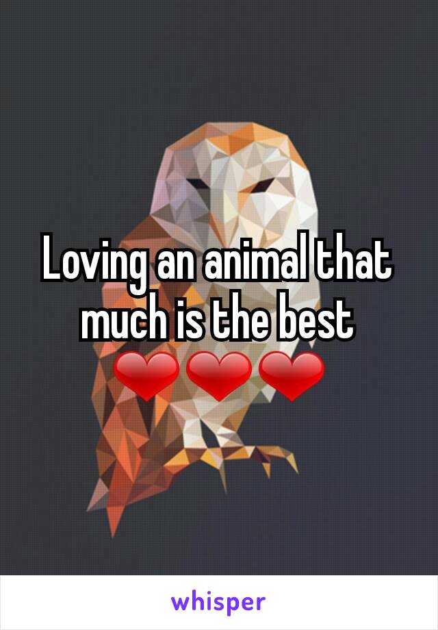 Loving an animal that much is the best ❤❤❤