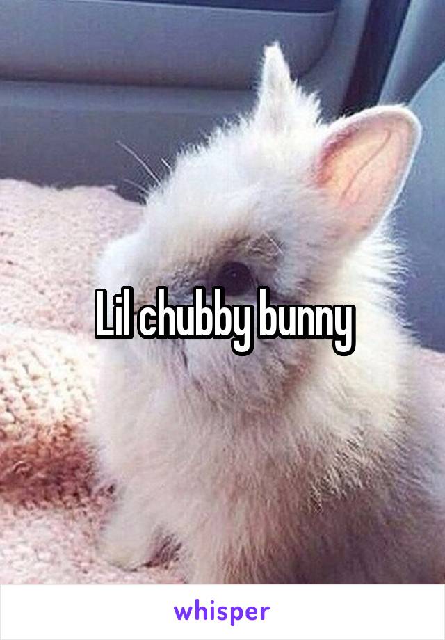 Lil chubby bunny