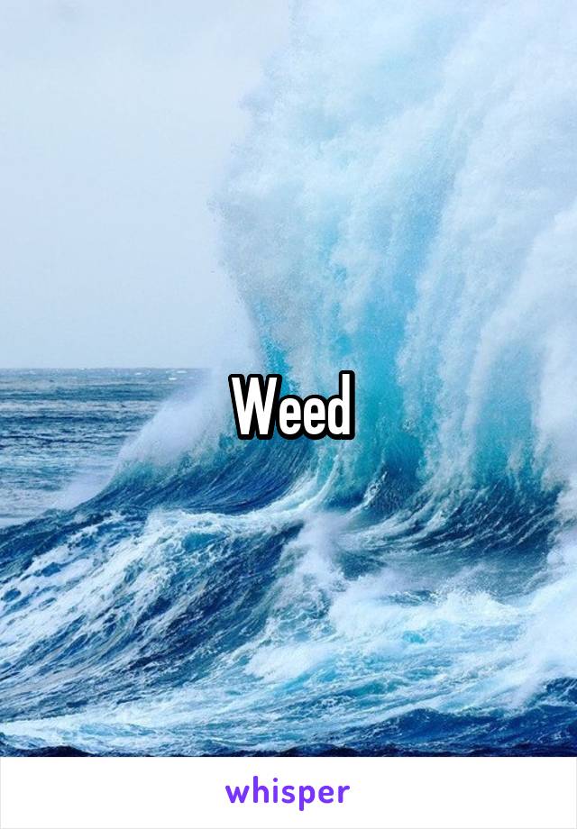 Weed