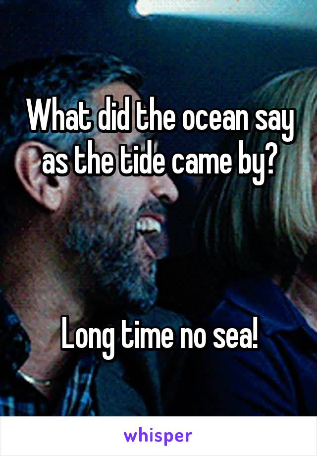 What did the ocean say as the tide came by?



Long time no sea!