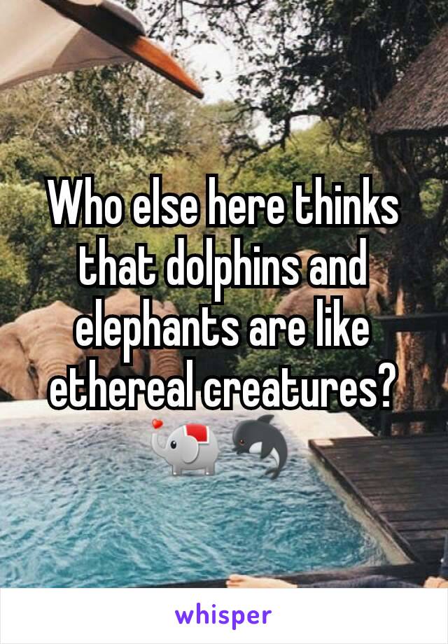 Who else here thinks that dolphins and elephants are like ethereal creatures? 🐘🐬