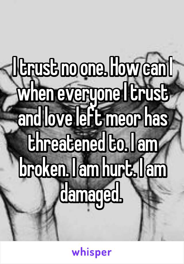 I trust no one. How can I when everyone I trust and love left meor has threatened to. I am broken. I am hurt. I am damaged. 