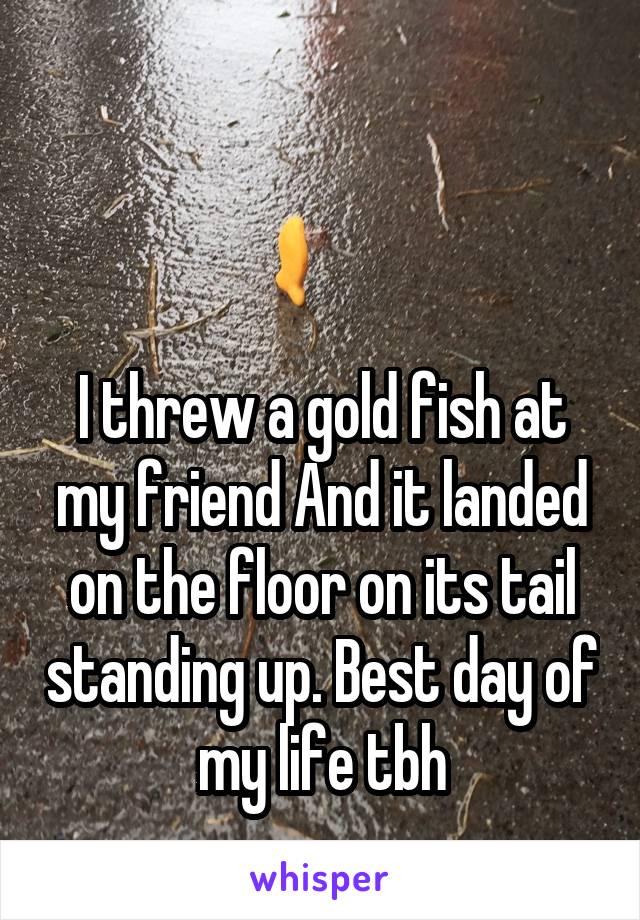 


I threw a gold fish at my friend And it landed on the floor on its tail standing up. Best day of my life tbh