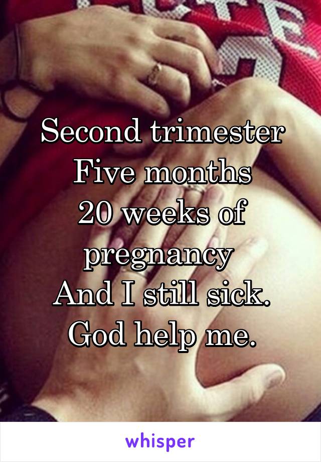 Second trimester
Five months
20 weeks of pregnancy 
And I still sick. God help me.