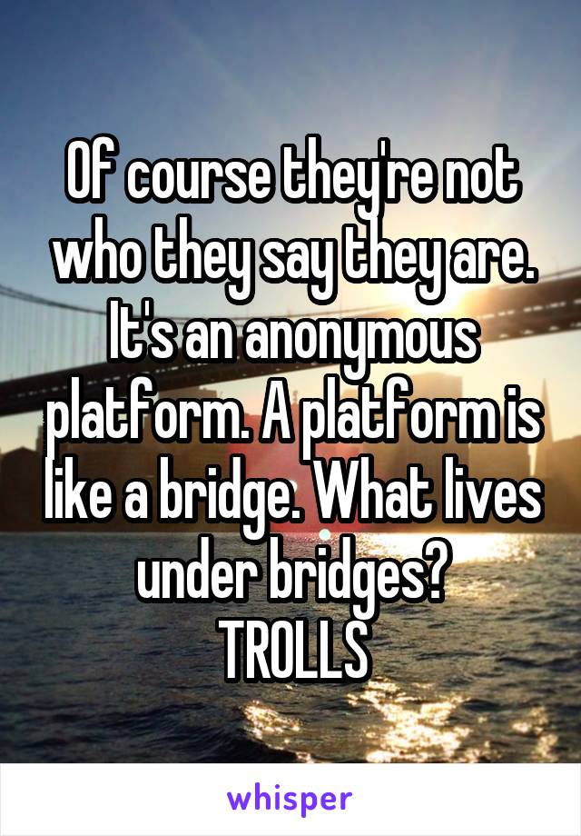 Of course they're not who they say they are. It's an anonymous platform. A platform is like a bridge. What lives under bridges?
TROLLS