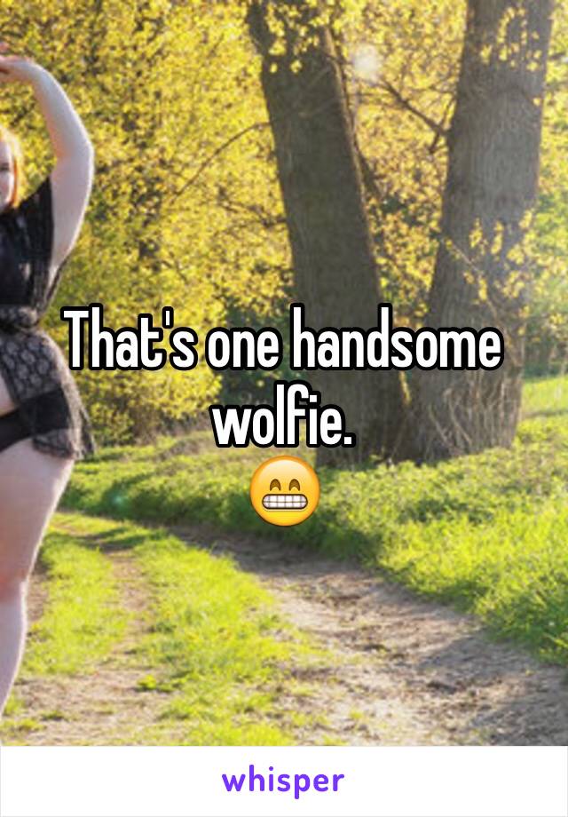 That's one handsome wolfie. 
😁
