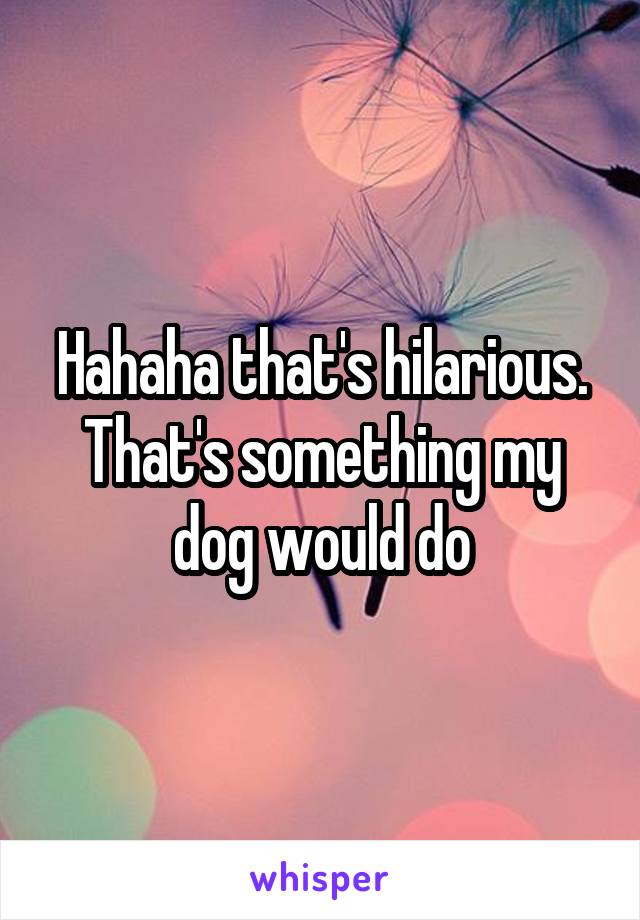 Hahaha that's hilarious. That's something my dog would do