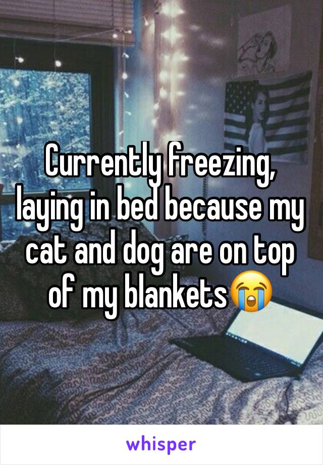 Currently freezing, laying in bed because my cat and dog are on top of my blankets😭