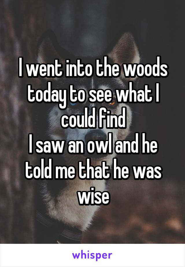 I went into the woods today to see what I could find
I saw an owl and he told me that he was wise