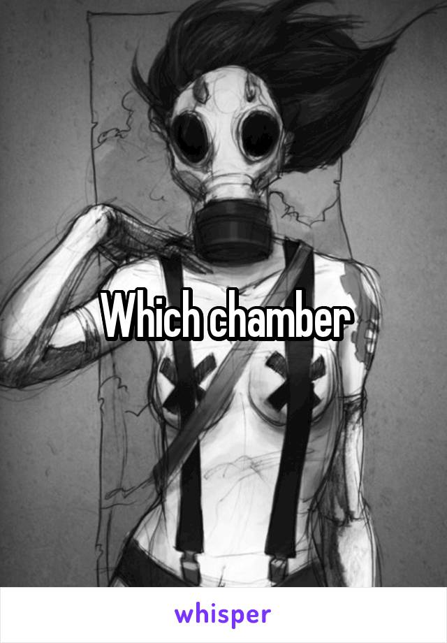 Which chamber